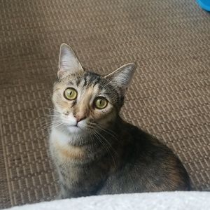 Meet your Posher, Erica